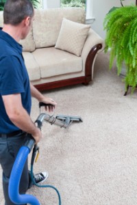 carpet_cleaning_perf_pro