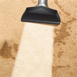 carpetcleaning